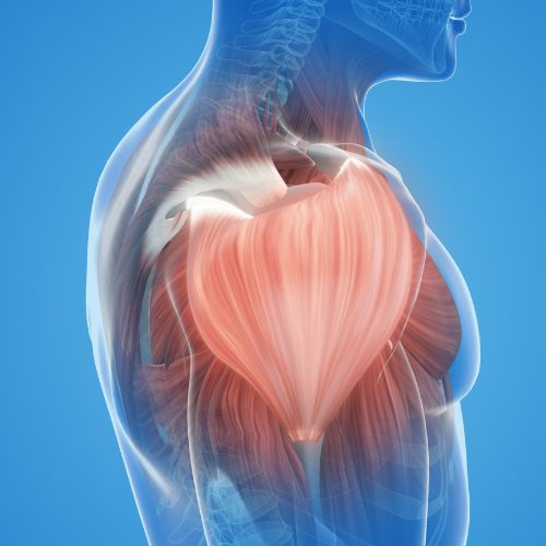 Muscle relaxant pills and back pain visual