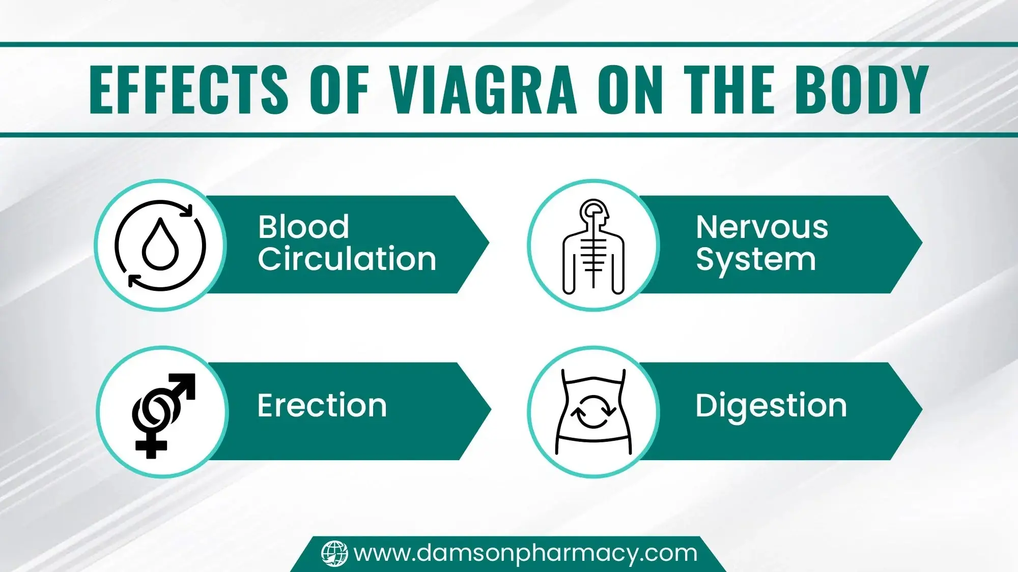 Effects of Viagra on the Body Effects of Viagra on the Body