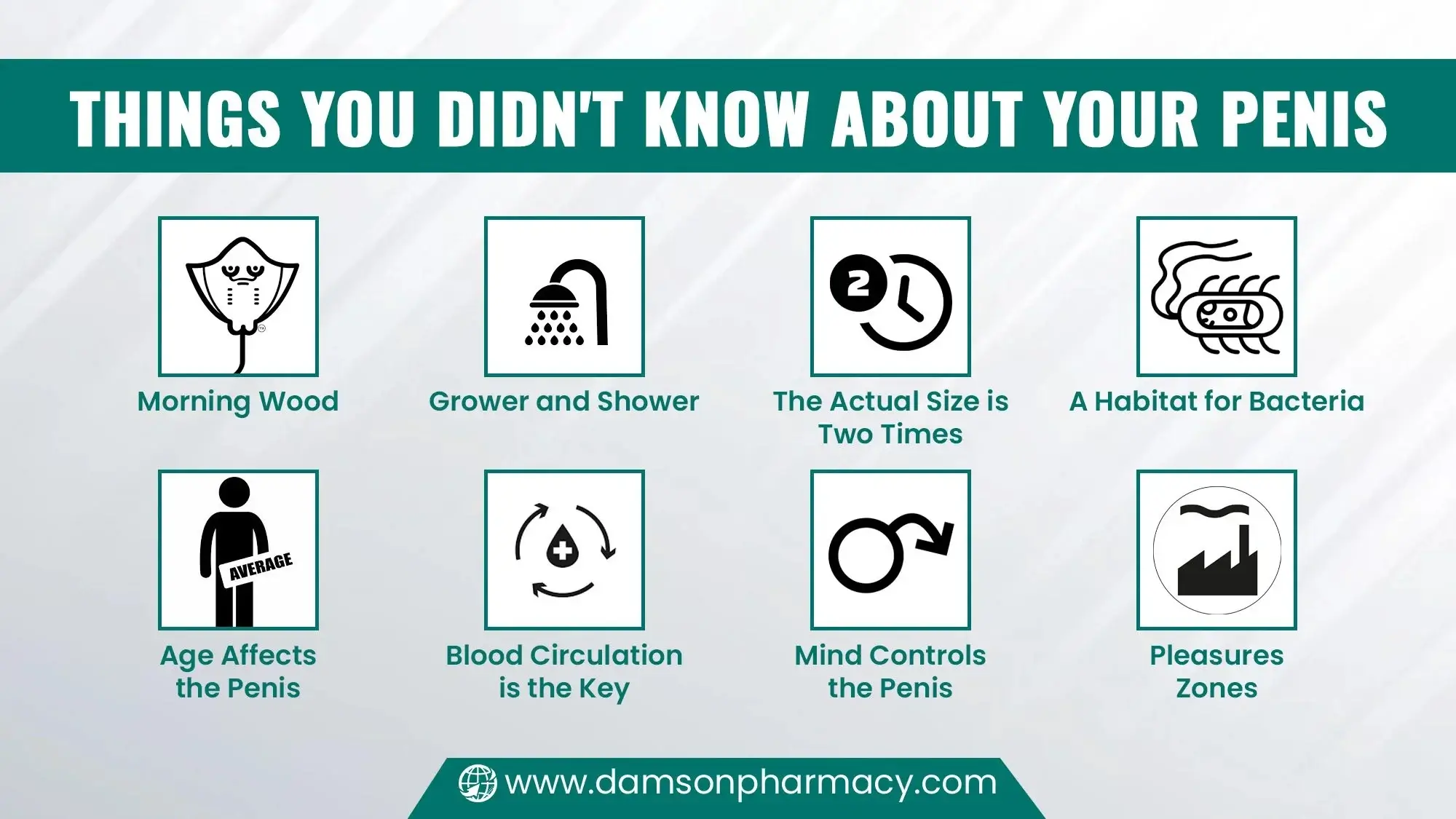 Things You Didnt Know About Your Penis